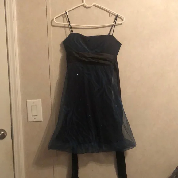 Dresses | Black And Blue Zebra Striped Homecoming Dress By Jump Apparel  Worn In 7th Grade | Poshmark